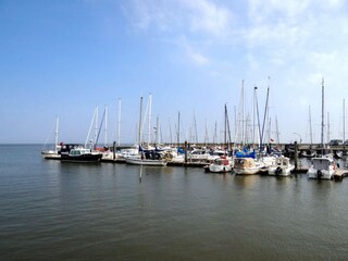 Vakantiehuis Horumersiel Omgeving 32