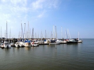 Maison de vacances Horumersiel Environnement 33