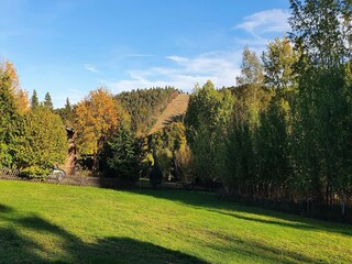 Vakantiehuis Willingen Omgeving 36