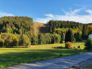 Casa per le vacanze Willingen Ambiente 36