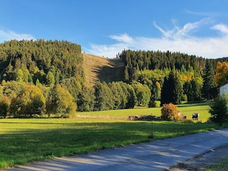 Ferienhaus Willingen Umgebung 26