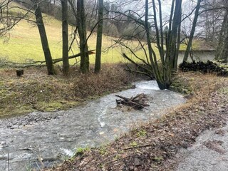Maison de vacances Willingen Environnement 33