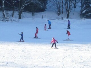 Vakantiehuis Willingen Omgeving 34