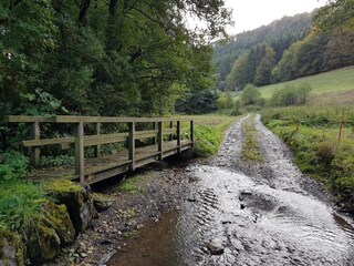 Vakantiehuis Willingen Omgeving 21