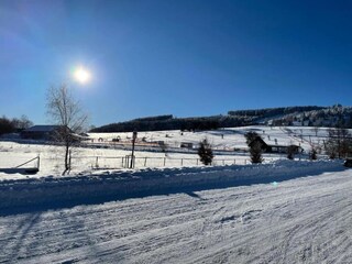 Vakantiehuis Willingen Omgeving 36