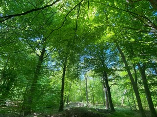 Vakantiehuis Fuhlendorf Omgeving 20