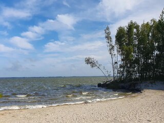 Maison de vacances Fuhlendorf Environnement 39