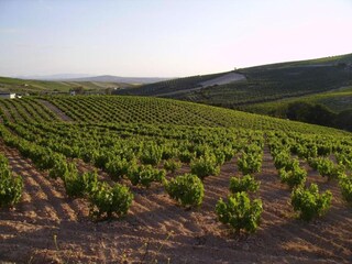 Apartamento Montilla Entorno 22