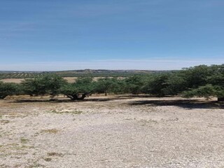 Apartment Montilla Environment 19