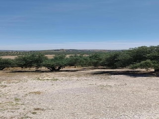 Apartment Montilla Umgebung 19