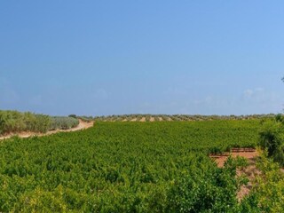 Appartement Montilla Environnement 21