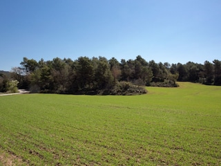 Vakantiehuisje Mediona Omgeving 27