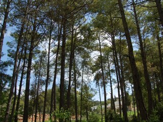 Casa vacanze Mediona Ambiente 29