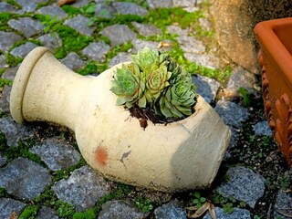 Appartamento Griechenland  15