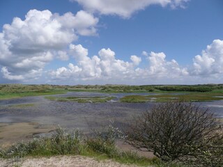 Holiday house Julianadorp Environment 21