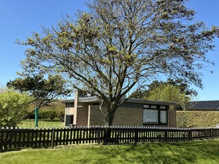 Vakantiehuis Julianadorp Buitenaudio-opname 7