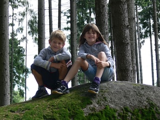 Steine zum Klettern und Staunen
