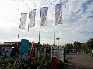 Chalet Renesse Environnement 37