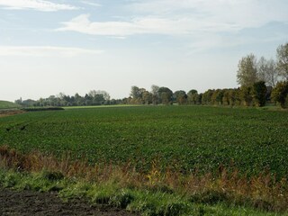 Chalet Renesse Environnement 38