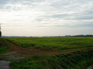 Chalet Renesse Omgeving 40