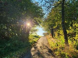 Apartment Nieheim Environment 50