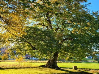 Apartment Nieheim Environment 53