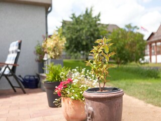 Appartement Nieheim  49