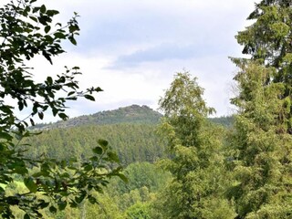 Apartment Drachselsried Umgebung 23