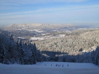 Apartment Drachselsried Umgebung 23