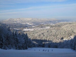 Appartement Drachselsried Omgeving 23