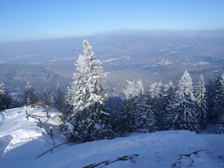 Apartment Drachselsried Umgebung 25