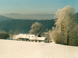 Apartment Drachselsried Außenaufnahme 11