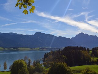 Forggensee