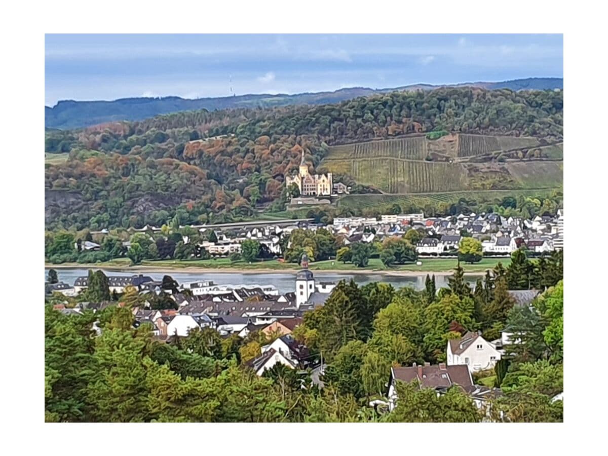 Ausblick auf Schloß Arenfels