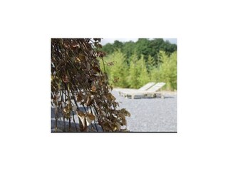 Vakantiehuis Theux Omgeving 29