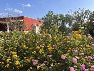 Casa per le vacanze Manduria Registrazione all'aperto 14