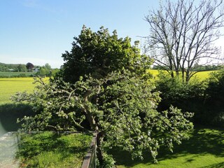 Casa per le vacanze Kappeln (Stadt) Registrazione all'aperto 10