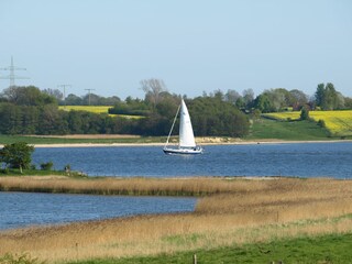 Casa per le vacanze Kappeln (Stadt) Ambiente 25