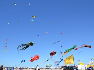 Drachenfest