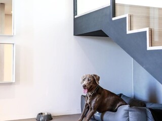 Casa de campo Schlagsdorf (Fehmarn) Características 28