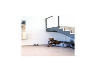 Type de propriété : Chalet Schlagsdorf (Fehmarn) Équipement 8