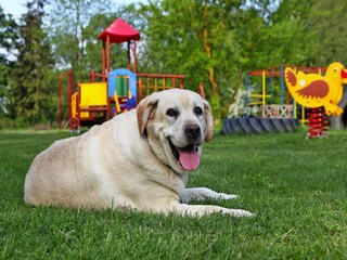 Casa per le vacanze Verchen Registrazione all'aperto 3
