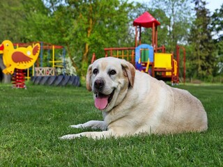 Casa de vacaciones Verchen Grabación al aire libre 3