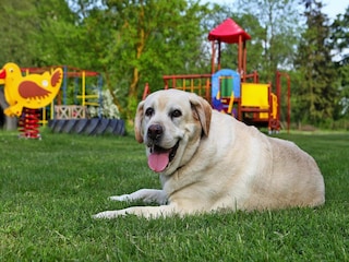 Ferienhaus Verchen Außenaufnahme 3