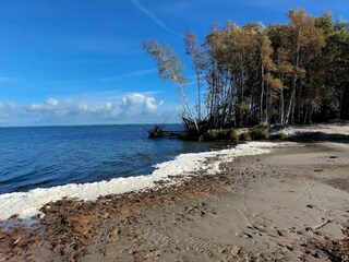 Casa per le vacanze Fuhlendorf Ambiente 21