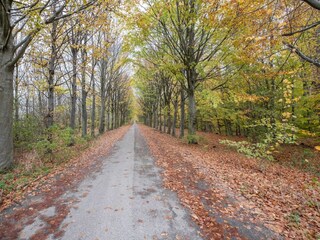 Villa Biddinghuizen Omgeving 33