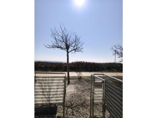 Vakantieappartement Burgtiefe  18