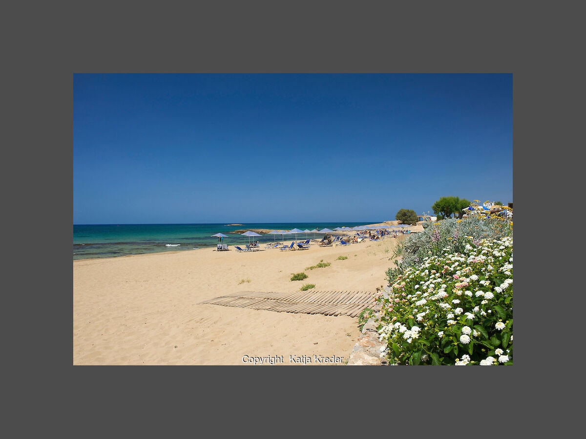 Urlaub am Sandstrand von Malia