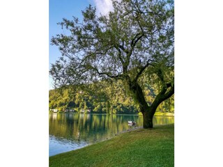 Apartamento Pieve di Ledro Grabación al aire libre 6