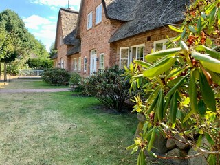 Apartamento de vacaciones St. Peter-Ording Grabación al aire libre 3